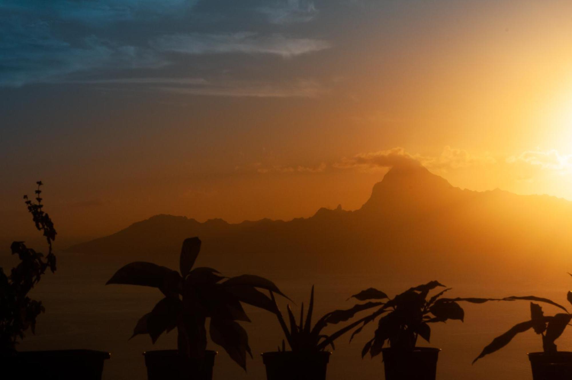 Vue Sur Moorea Apartment Punaauia  Luaran gambar
